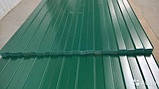 Профнактил зеленого кольору РАЛ 6005, Профліс зеленого кольору, Металопрофіль зеленого кольору 6005., фото 4