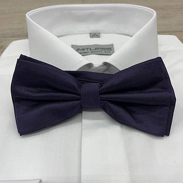 Метелик класичний фіолетовий