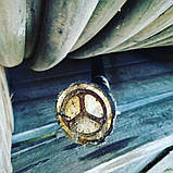 ВББШВ 4х25 ВББШВ нг 4х25 ВББШВ нгд 4х25 Броньований кабель 4*25  Кабель силовий 4*25, фото 5