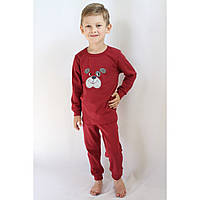 Пижама детская с длинным рукавом и брюками для мальчика с аппликацией собачки вишневого цвета, хлопок, Ладан