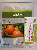 Насіння томата Сагатан F1 (Syngenta), 1 000 насінин ранній (55-60 днів), детермінантний, червоний, круглий