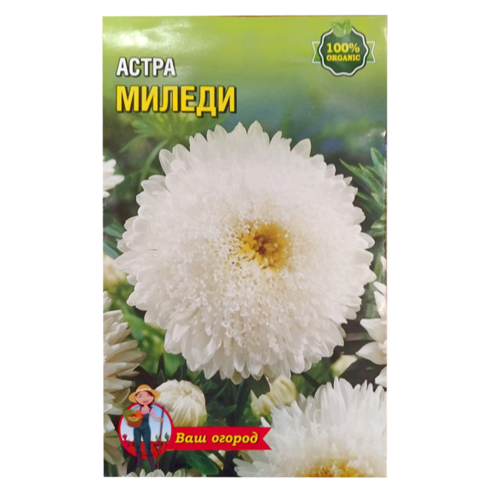 Насіння Айстра Міледі біла 1 г великий пакет, фото 1