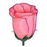 Бутон троянди атлас 7.5 см(100 шт в уп), фото 10