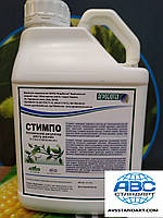 Соняшник під Євролайтінг (ЄС Імібор). Насіння соняшника Имибор "Еліта Селект" 50ц/га. Фракція Стандарт Плюс, фото 8