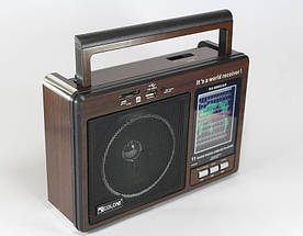 Радіоприймач GOLON RX-9966UAR - Великий портативний радіоприймач - колонка MP3 з USB і акумулятором, фото 2