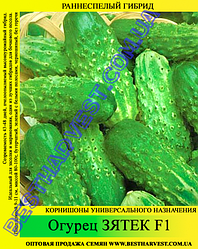 Семена огурца «Зятек F1» 100 г