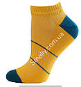 Шкарпетки жіночі літні укорочені, фото 2