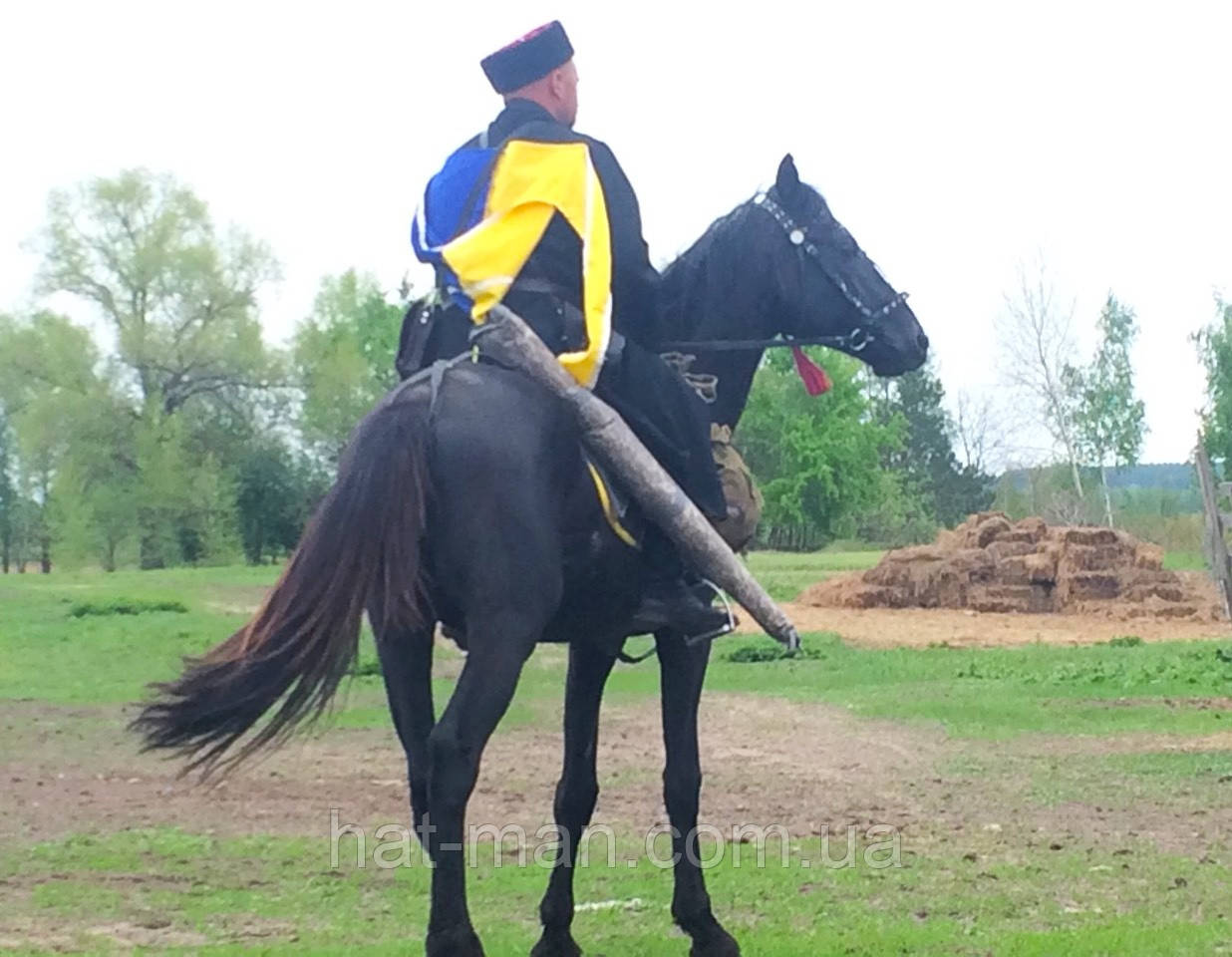 Башлик патріотичний, фото 1