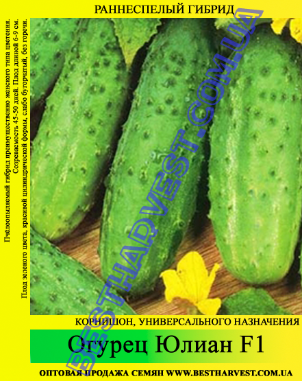 Насіння огірка "Юліан F1" 0.5 кг