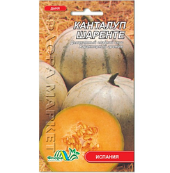 Насіння Диня Канталуп Шаренте 0.7 г (Іспанія) дуже рання
