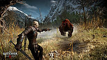 The Witcher 3: Wild Hunt: Прохождение (6/6)