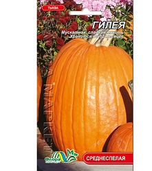 Насіння Гарбуз Гілея яскраво-помаранчева овальна середньостиглий 2 г