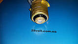 Лампа ПЖ 24-340 (коволь — P40s/41), фото 2