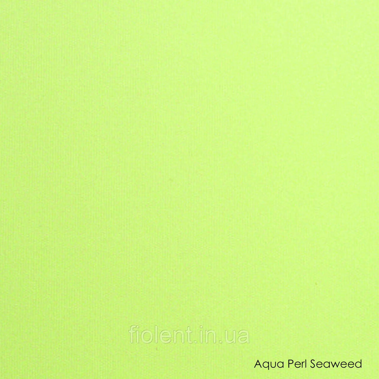 Aqua perl seaweed, фото 1