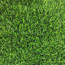 Штучна трава ecoGrass SD-20 мм, фото 5