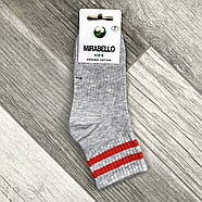 Шкарпетки дитячі демісезонні бавовна Mirabello, 5 років, 16 розмір, асорті, 03626, фото 3