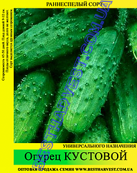 Насіння огірка «Кущовий» 100 г