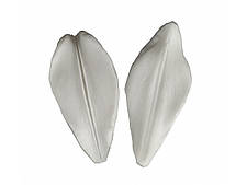 Вайнер Пелюстка лілії 2