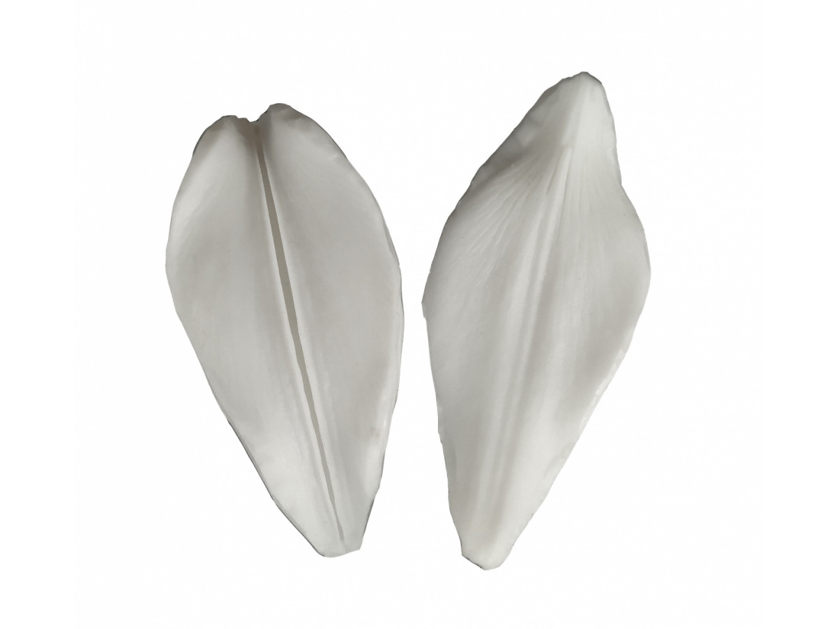 Вайнер Пелюстка лілії 2