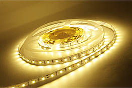 Єкономна жовтого кольору LED-стрічка 5050-30 IP20 (5 метрив)