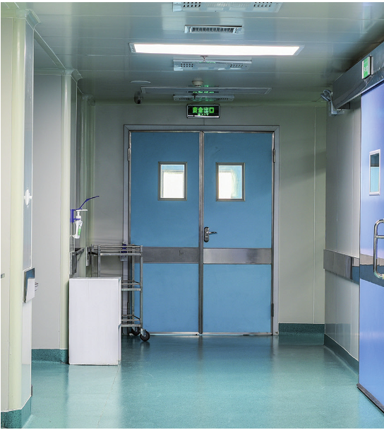 Маятникові двостулкові двері HPL з фенольної кромкою art. 2GPHDA Soleco (1600/1800х2140)