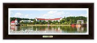 Еко-картина Санаторій "Червона Калина"