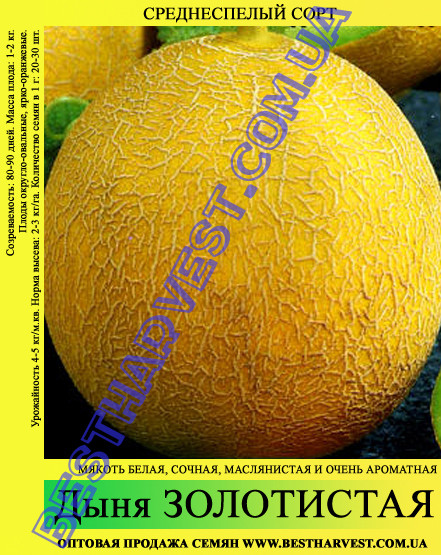 Насіння дині Золотиста 10кг, мішок, середньостигла