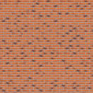 Клінкерна плитка R228 DF9 240X52X9, фото 3