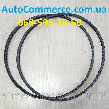 Ремінь генератора Hyundai HD65, HD72 D4AL Хюндай hd (2521141712) Богдан А069 3.3L, фото 4
