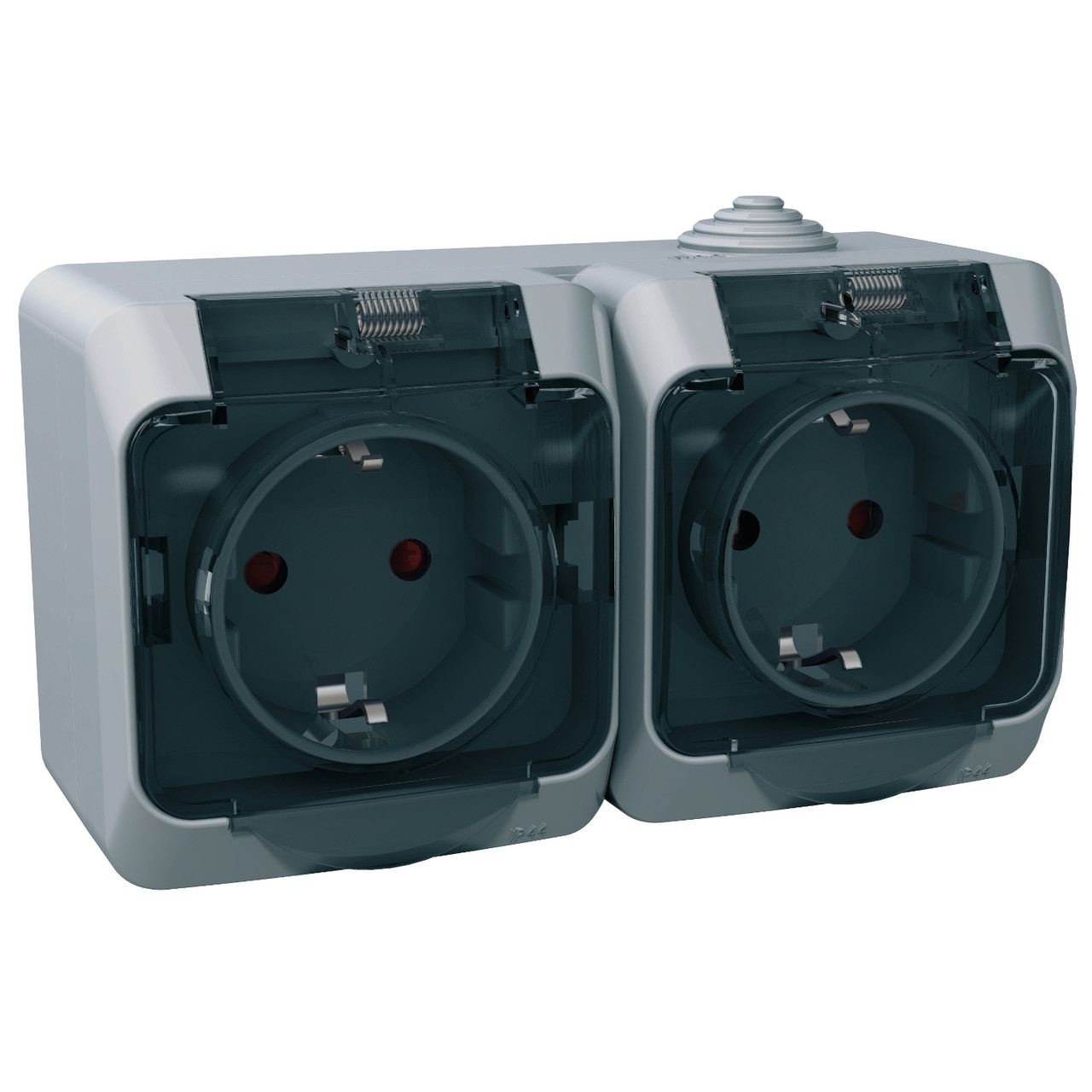 Розетка подвійна Schneider Electric Plus Cedar WDE000625