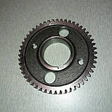 Шестерня колінвала розподільна велика косозуба Z-51 дизельного двигуна 195N, фото 3
