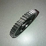 Шестерня колінвала розподільна велика косозуба Z-51 дизельного двигуна 195N, фото 2