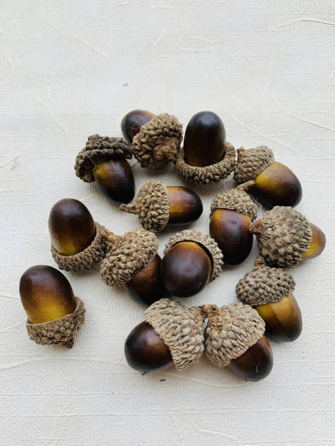 Морждар қалай сиқырлайды