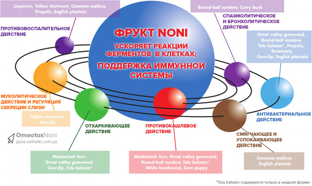 Действие добавки для дыхательной системы Omeotoxnoni