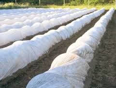 Агроволокно спанбонд 6,35/100 23 г/м2 Premium-agro (Польща)