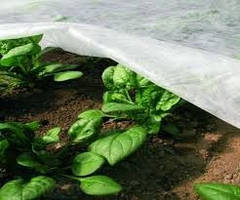 Агроволокно спанбонд 6,35/100 30 г/м2 Premium-agro (Польща)