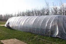 Плівка поліетиленова біла, 30 мкм, 1,5 м рукав, 100 м довжина