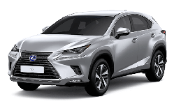 Багажник Lexus NX 2014-