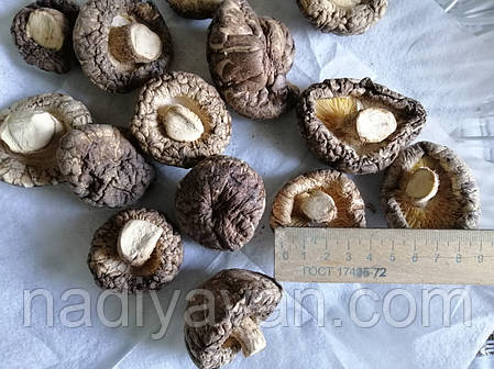 Гриб Шиітаке цілий калібр 3*5 сушений 400g, фото 3