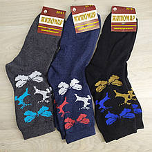 Жіночі шкарпетки махрові Житосвіт, набір 4 пари