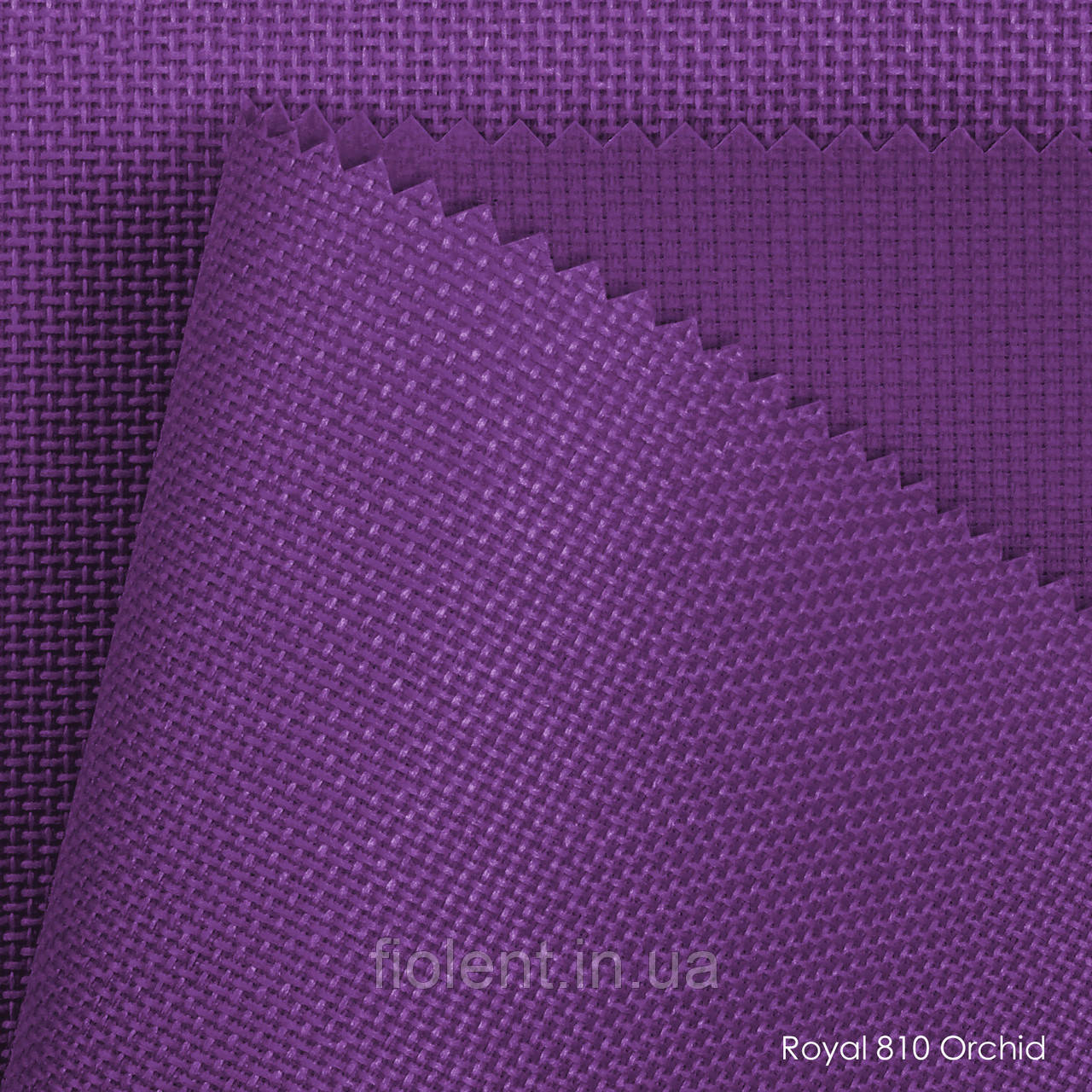 Royal-810 orchid, фото 1