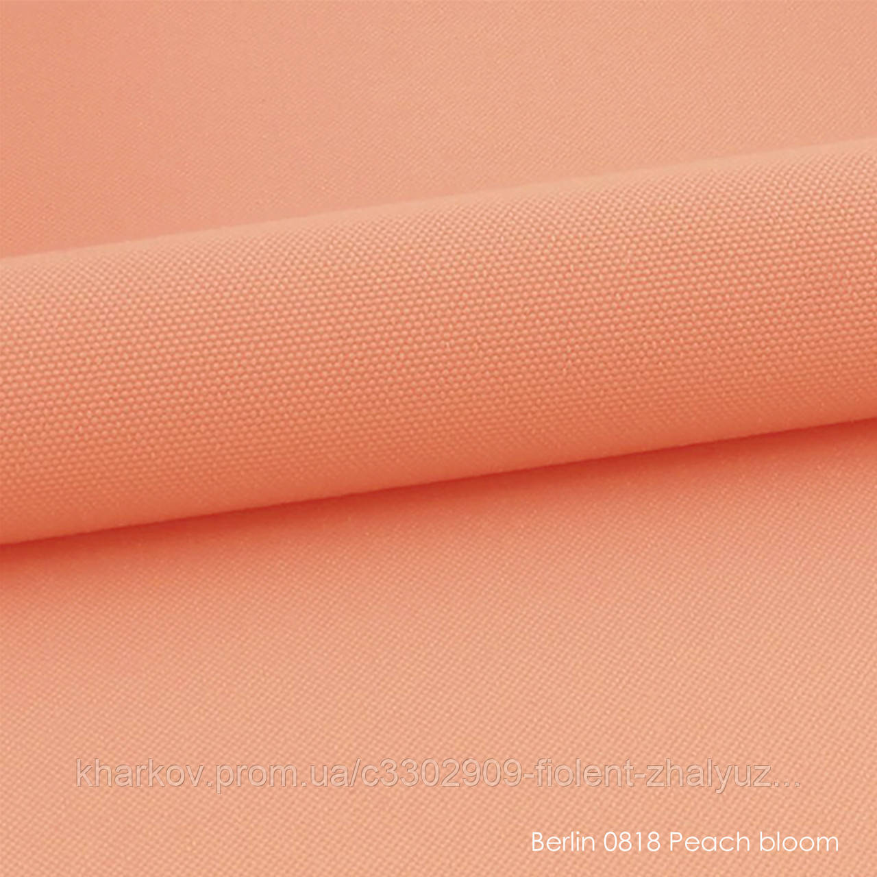 Berlin 0818 peach bloom, фото 1