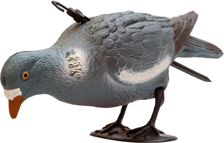 Подсадной голубь Birdland кормящийся - фото 1 - id-p1135878558