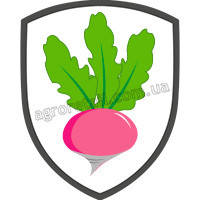 Насіння брукви