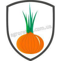 Насіння цибулі