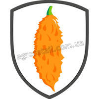 Насіння момордика