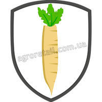 Насіння пастернаку