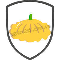 Насіння патисона