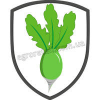 Насіння редьки