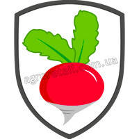 Насіння редису